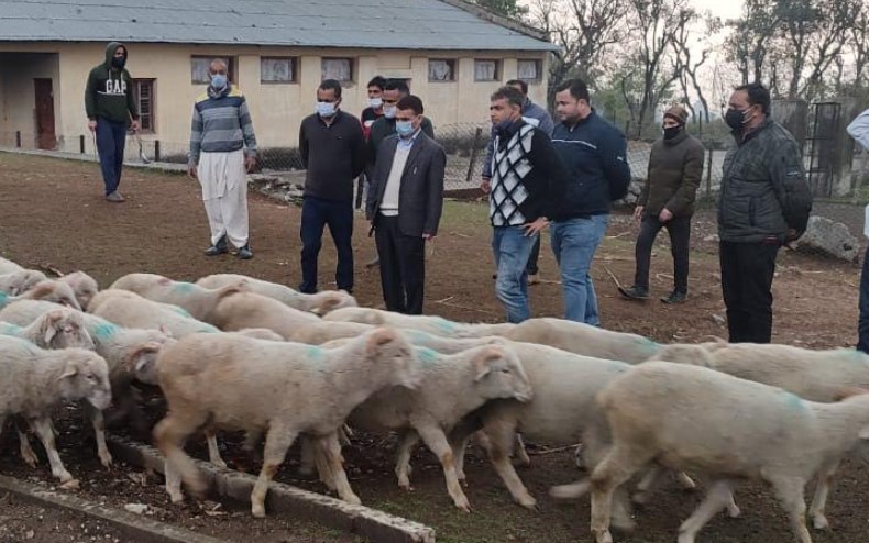   Director SH Jammu inspects departmental activities